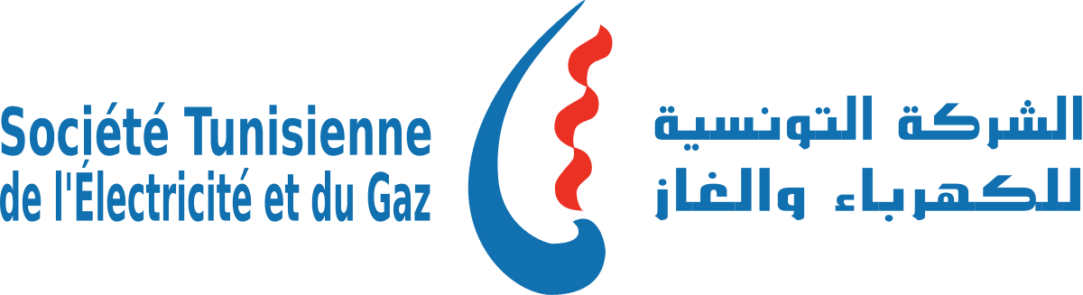 STEG logo